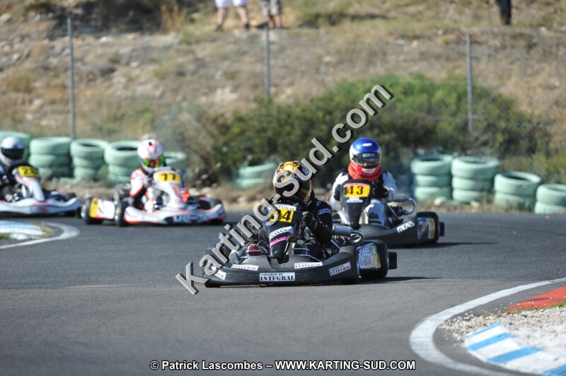 DSC (1203).JPG